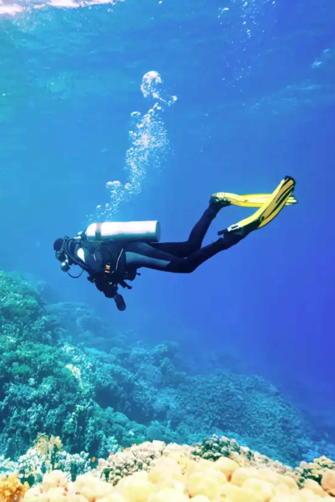 Scuba Diving